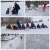 in nature - who can we meet in winter 1